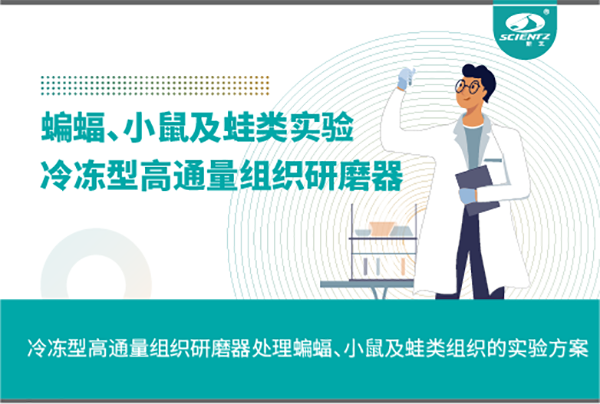 冷凍型高通量組織研磨器處理蝙蝠、小鼠及蛙類組織的實驗方案