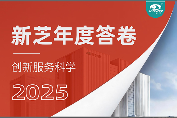「新芝2025年度答卷」以深耕赴山海，以創新啟新程！